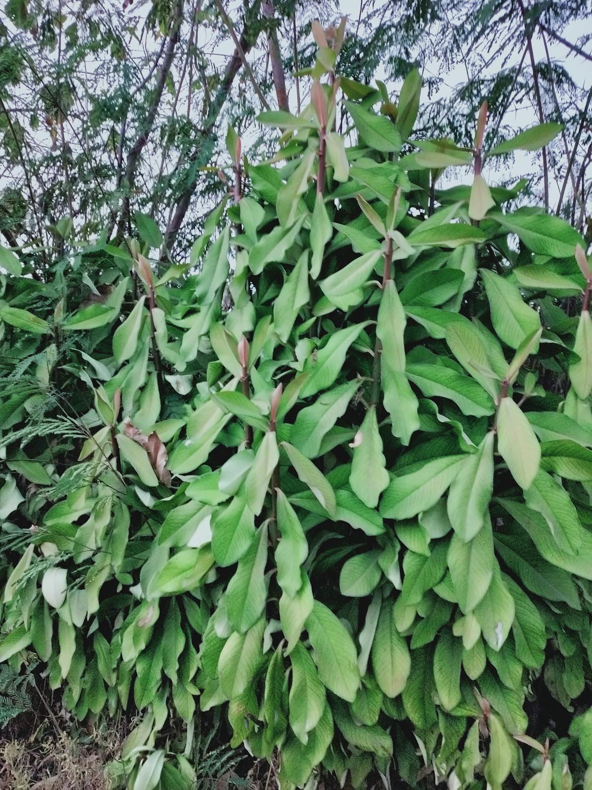 Esto es oro 💸: Si ganas menos de $1M ¿Guardas o Invertes?