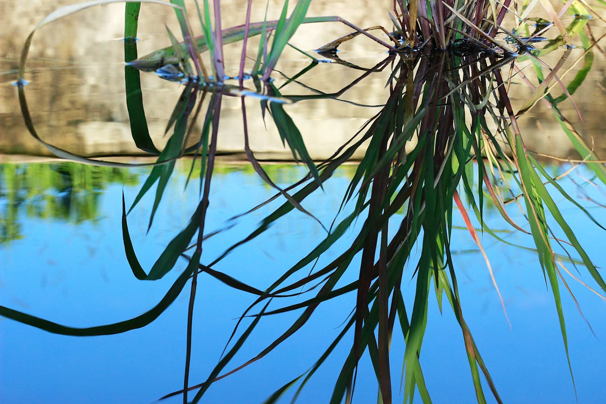 ¿Guatemala se está convirtiendo en un zona de guerra por culpa...