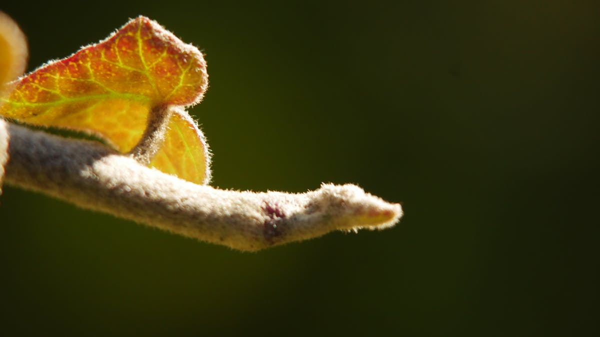 🚀 Adiós pasillos feos: ¿Tus oficinas necesitan un Makeover o u...
