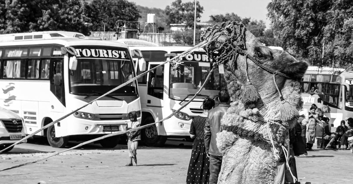 ¡Muere Darío Lopérfido! 🤯 ¿Qué hizo mal para que no le dieran ...