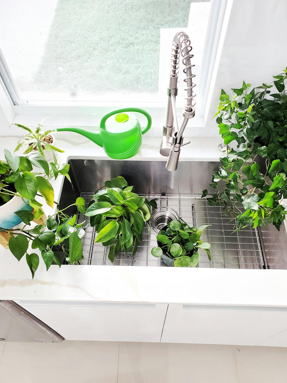 ¿Se Volverán a Imprimir las Credenciales de Acceso o Será So...