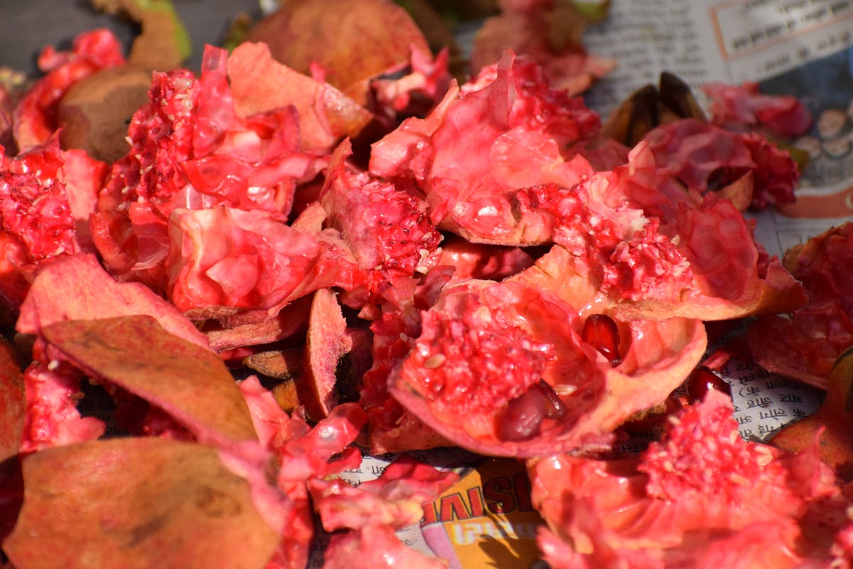 📚 ¿El Patrimonio Lingüístico de Sevilla ya no es lo que era?