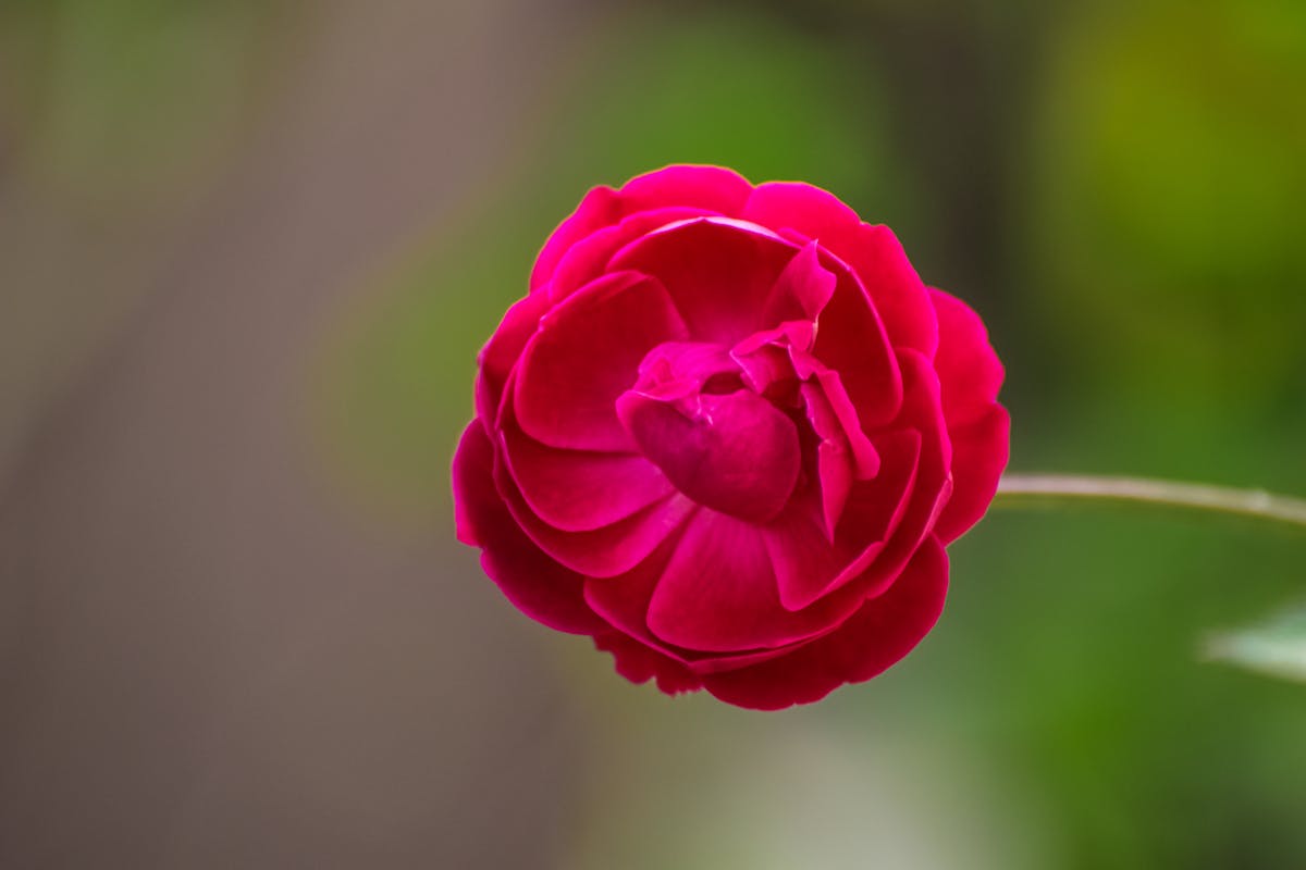 😂 ¡¿Inflación en Enero: ¿Cuál es el Ciudad con el Mayor Gasto ...