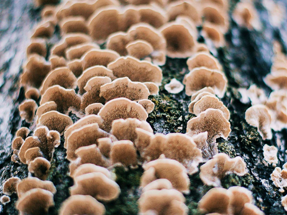 ¿Bateo para Dummies o el Secreto de Miguel Cabrera?