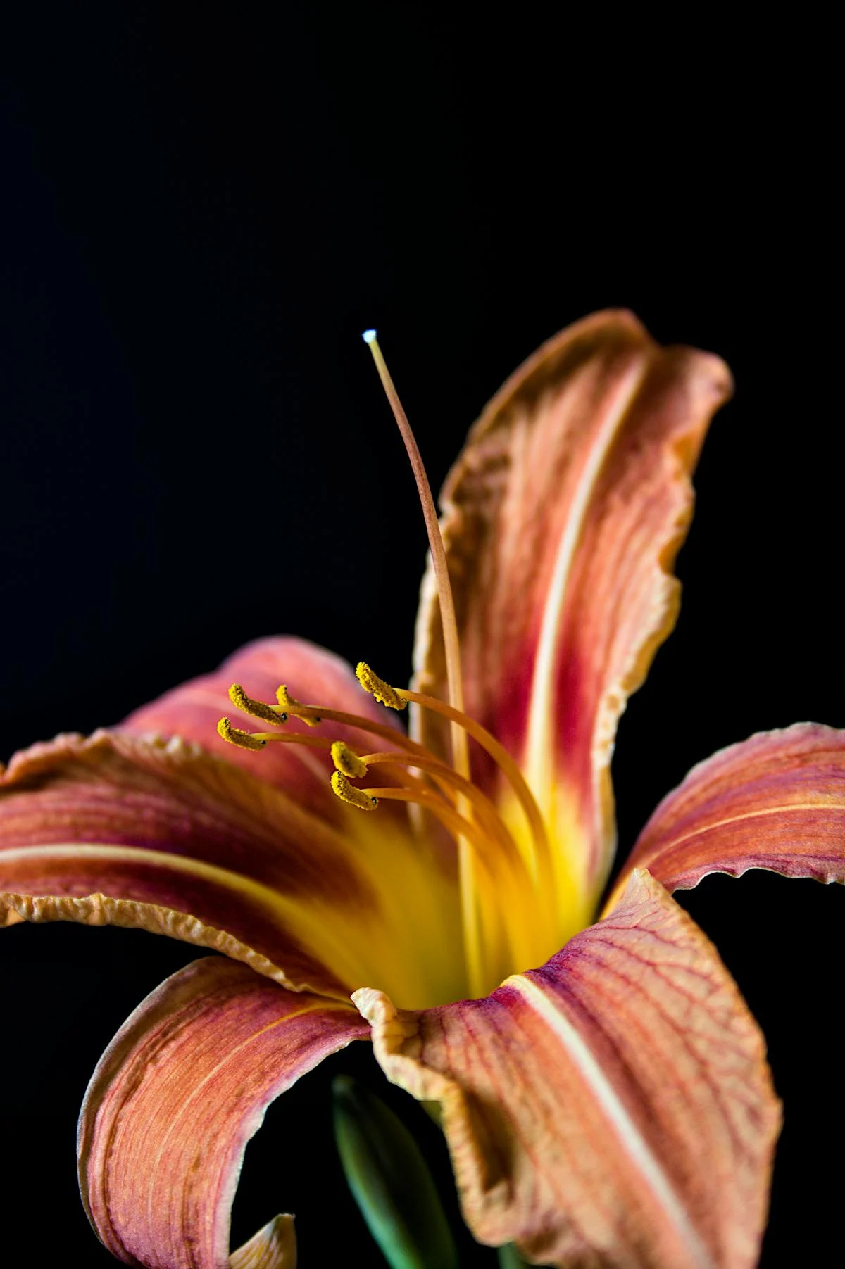 ¿Estás listo para ser el cuidador de tus padres en TikTok?...