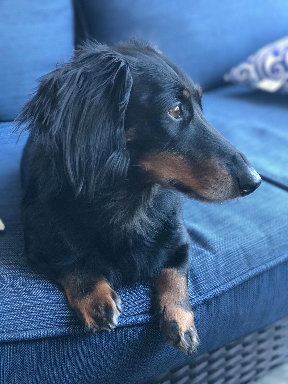 ⚡️ El Gobierno Se Fue de Dinero: ¿Cuántos Impuestos Bajó y C...