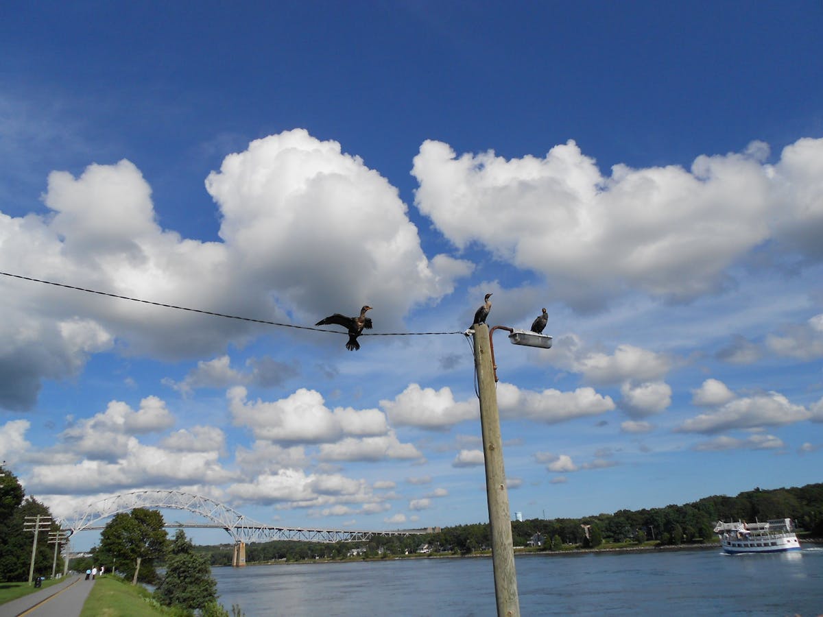 🏢 ¿Gehry es el Arquitecto que Va a Salvar o destruir la Ciudad?