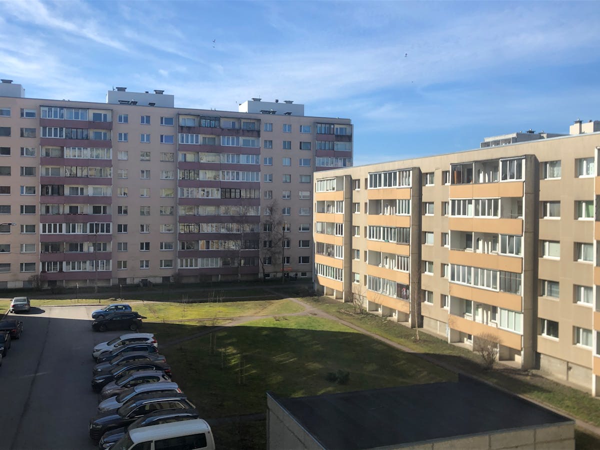 ¿Las Ranas Macho Suenan Más Atractivas? ¡No Mames! 🐸