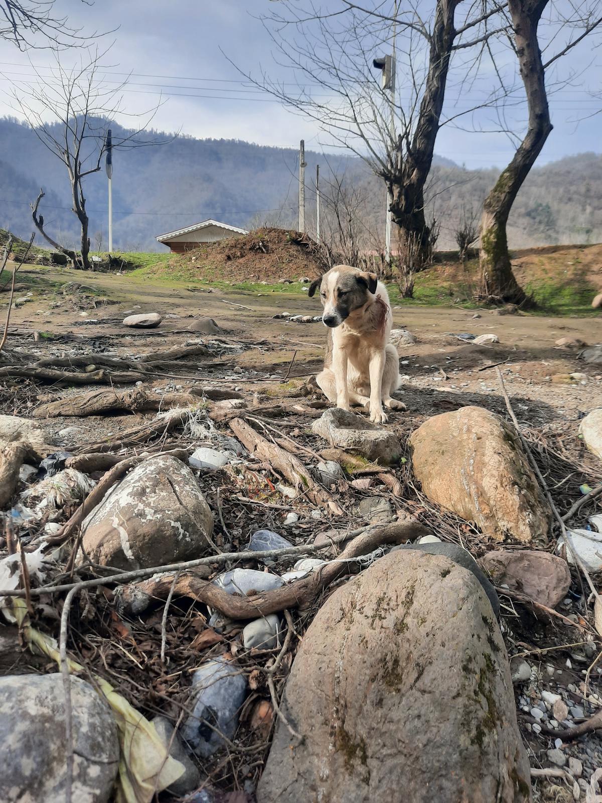¿La belleza femenina es solo un disfraz de vulnerabilidad? 💁‍♀️