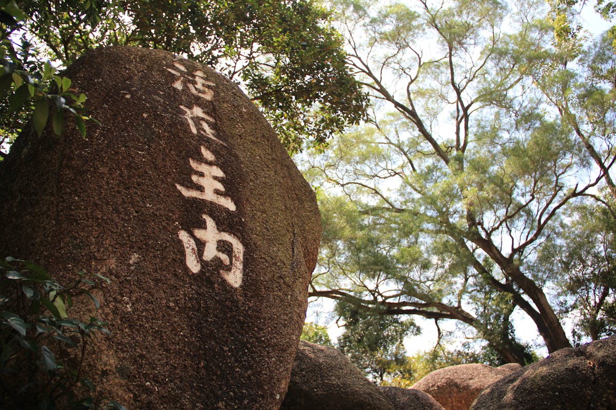 ¡Deportazo en grupo, ¿o es solo un pretexto para socializar? 🏋...