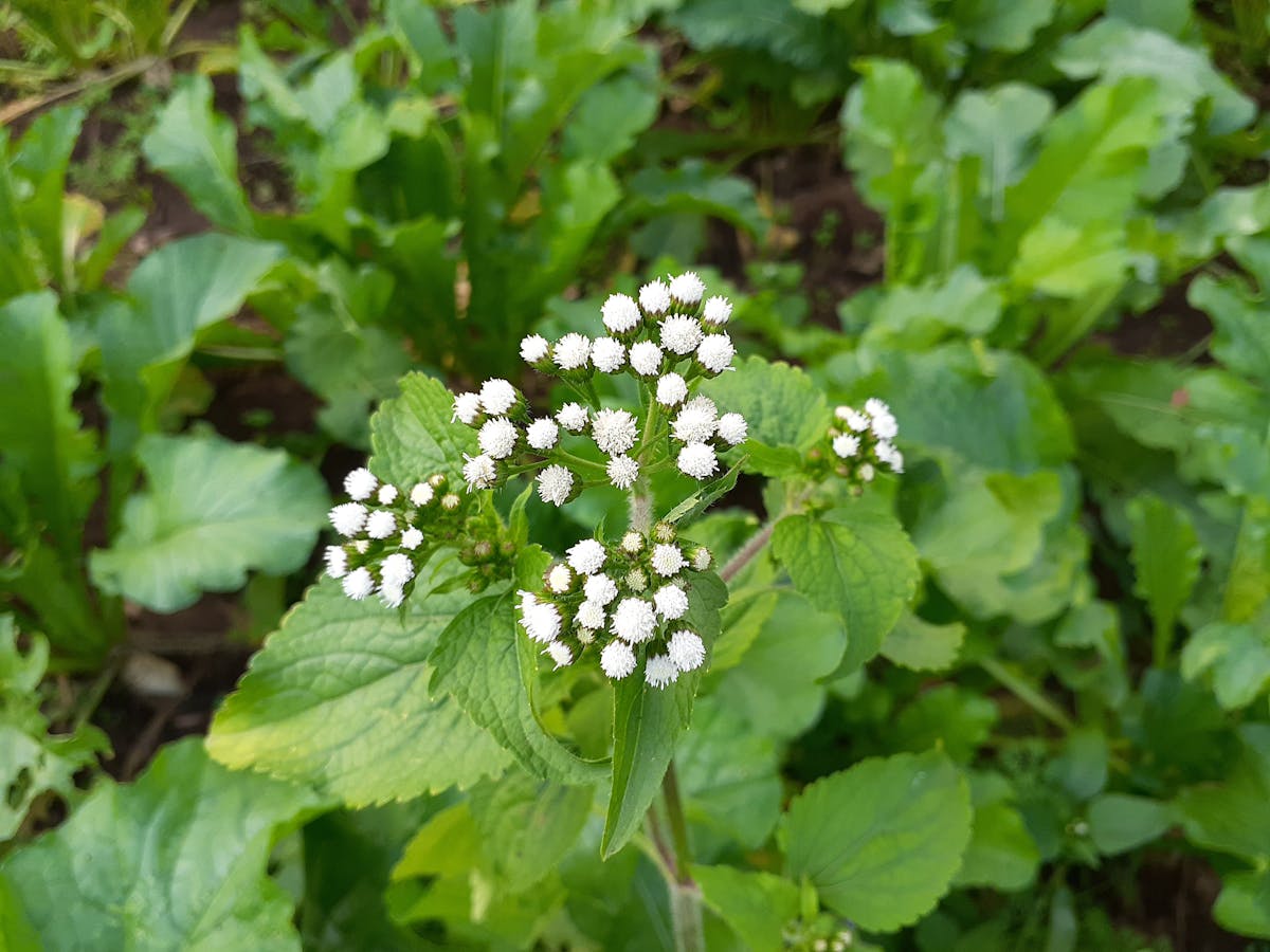 ¿Se Acabó la Fiesta? ¡Están Bajando el Tipo de Cambio! 💸 ¿Co...
