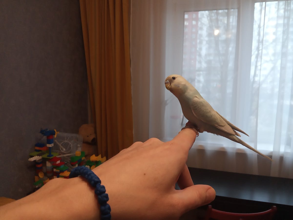 ¡¿Qué Fue Lo Que No Fue? 🚫 La Reunión entre Ecuador y Colombia...