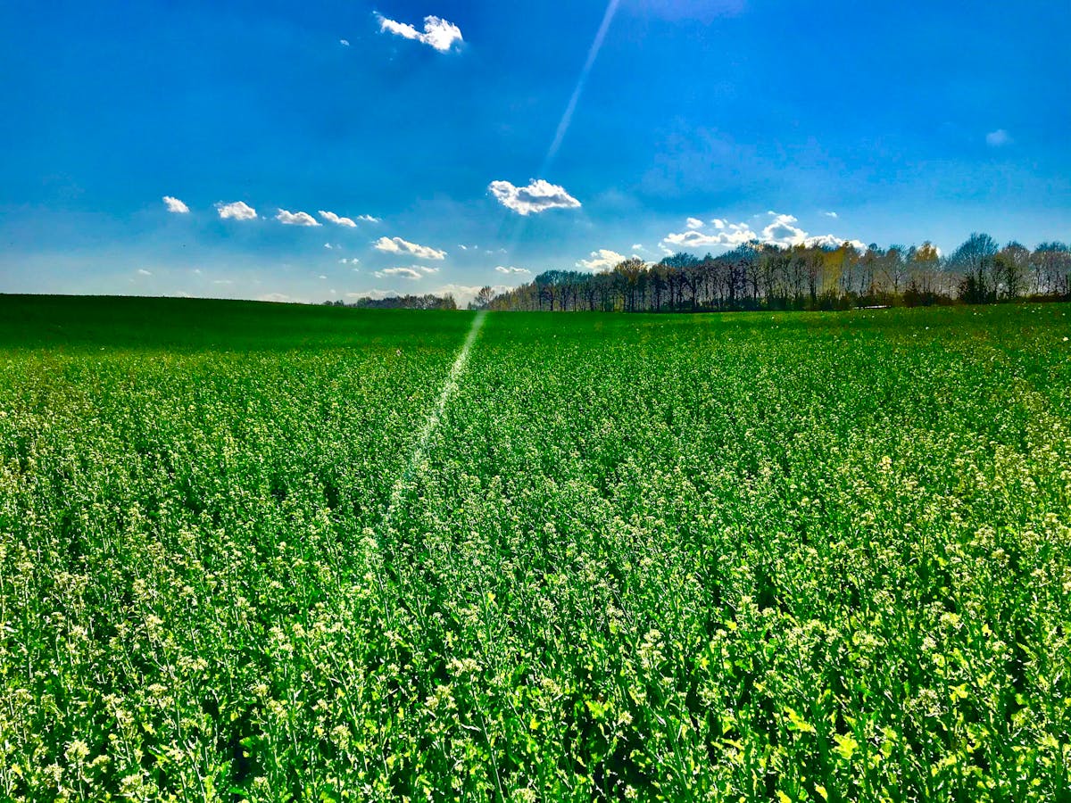 ¿Tu Cuenta de Cloud Está Canon o es un Esquema Piramidal? 💰