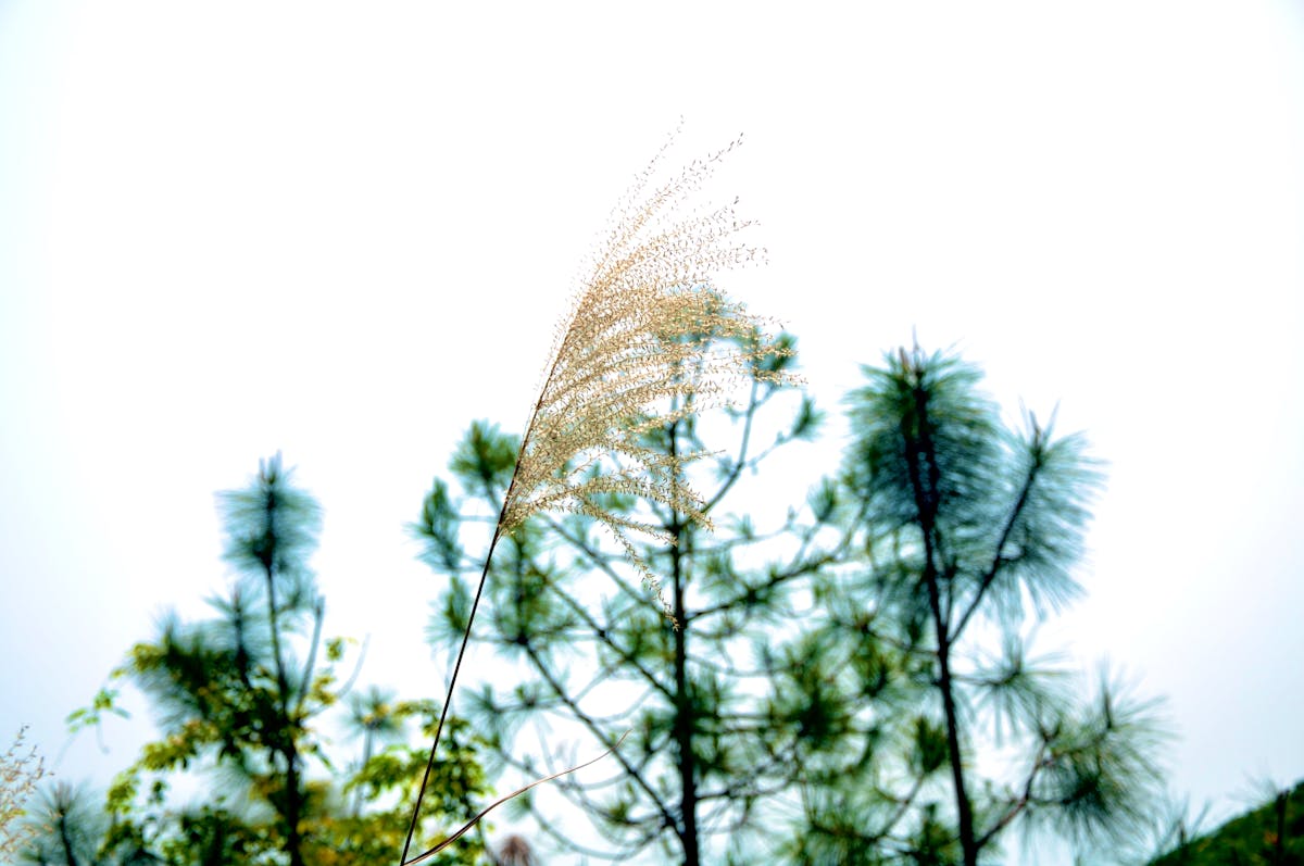 ¿Al menos una pataleta infantil se ha ido a la nube con estos ...