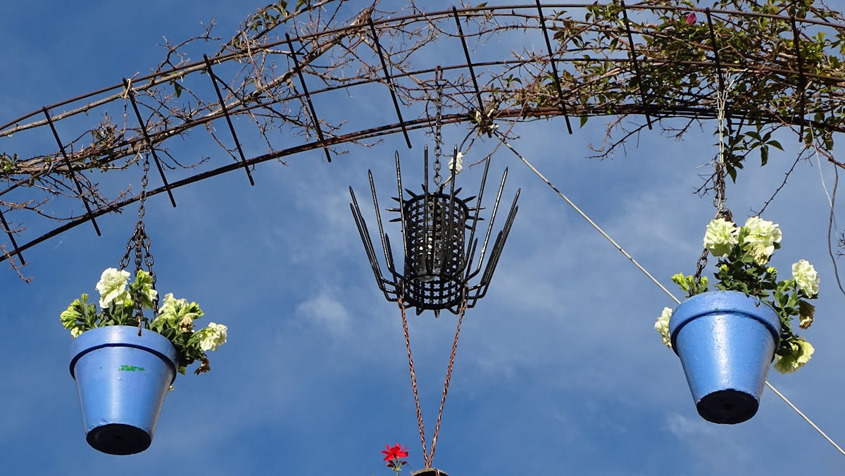 ¿Sergio Peña se fue a la chingada a Turquía? 🚀