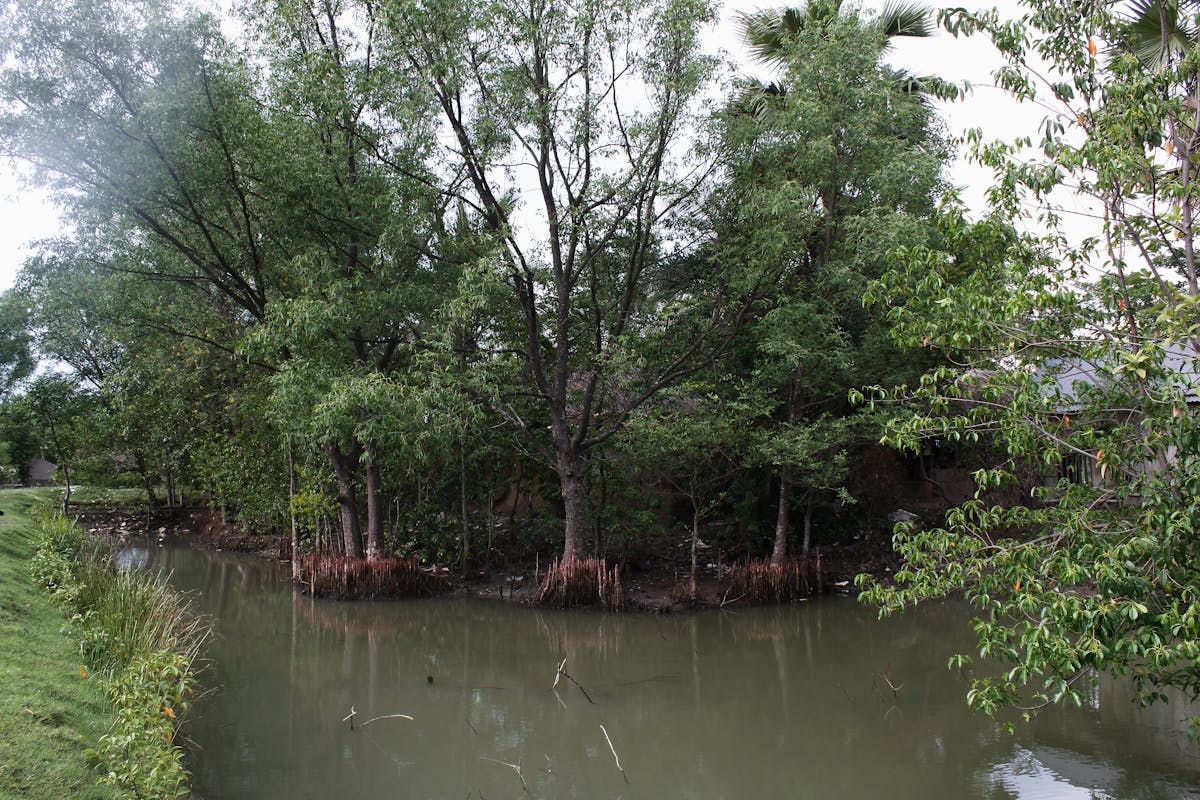 🚀 ¿La Inflación en BA Te Robó Tu Dinero o Solo Te Hizo Preguntar?