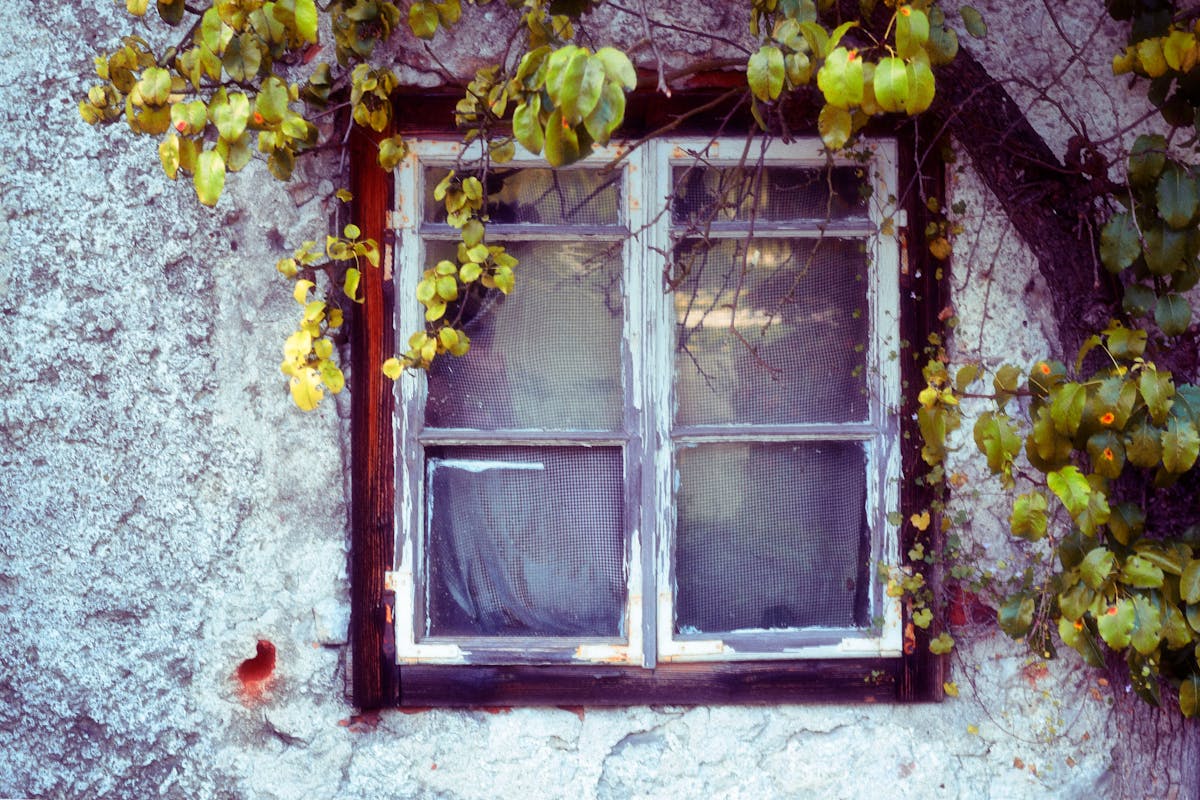 ¿La Finalissima es una Copa Mundial de Riesgos? 🚩