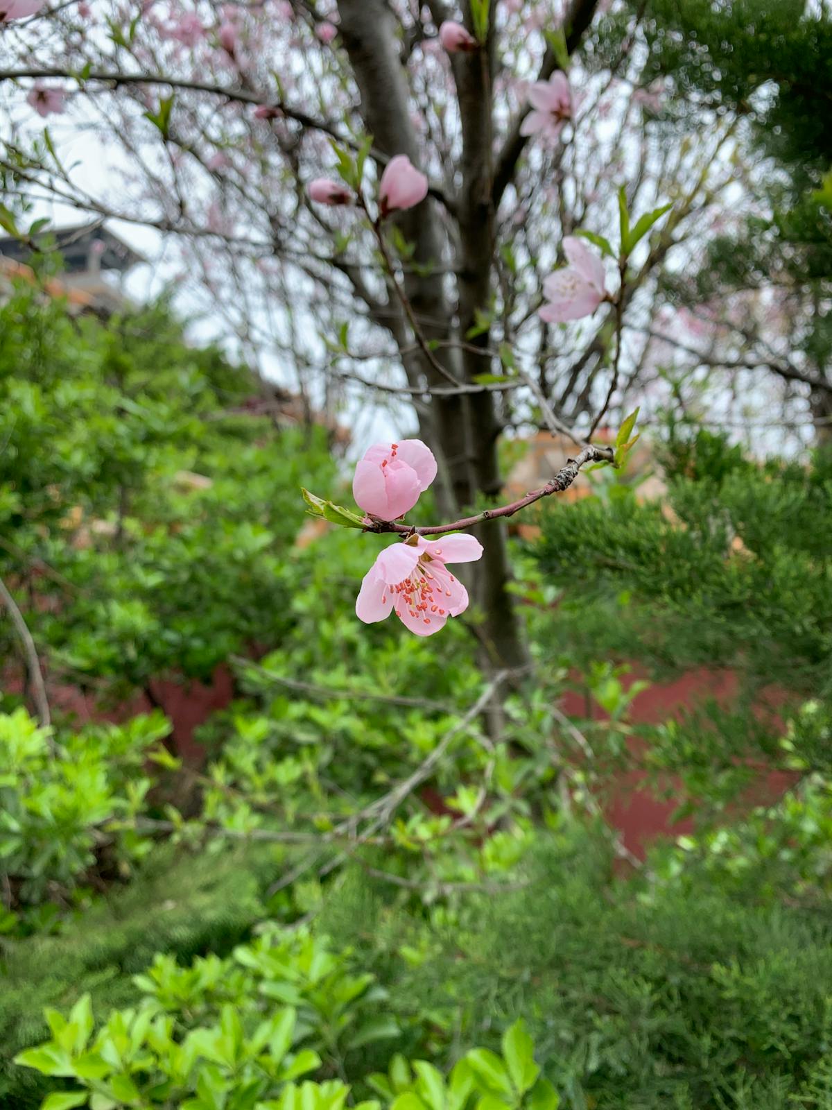 ¿Argentina Sigue Enfrentándose Al Crimen Organizado o Solo...