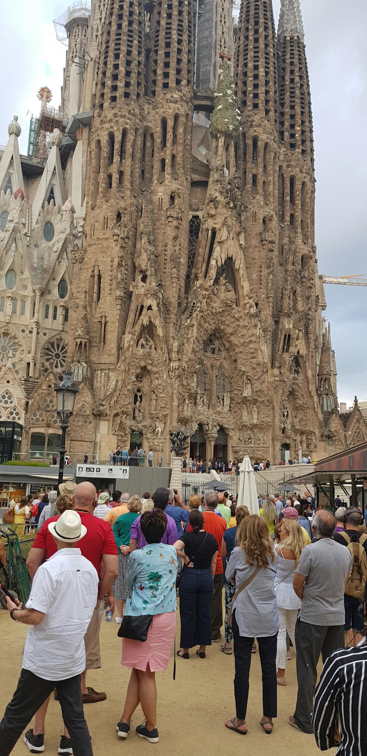 🚀 ¿Cómo Llamar a Air Canada desde México sin Quedar como Un Gr...