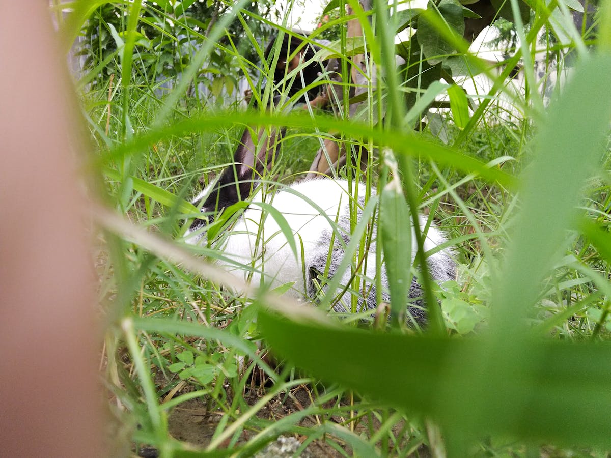 🚩 ¿La FIFA Liberó Reservas o Solo Se Despidió de Su Respon...