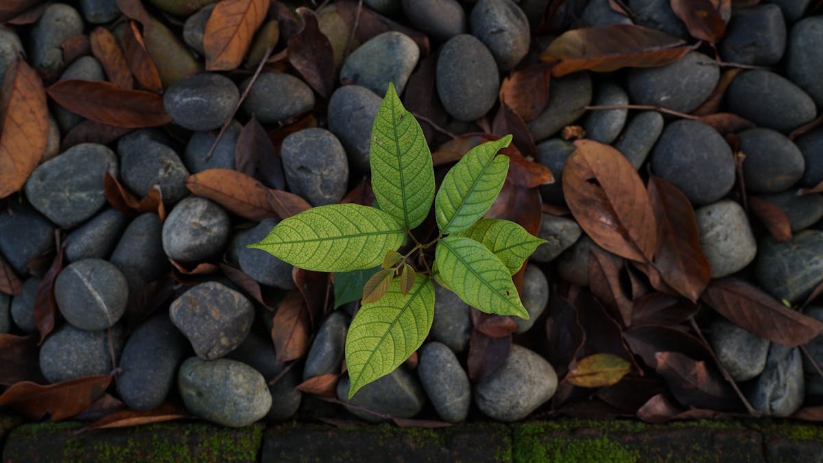 🌞 ¿Buenos Aires: El Clima Te Va a Matar Este Sábado?
