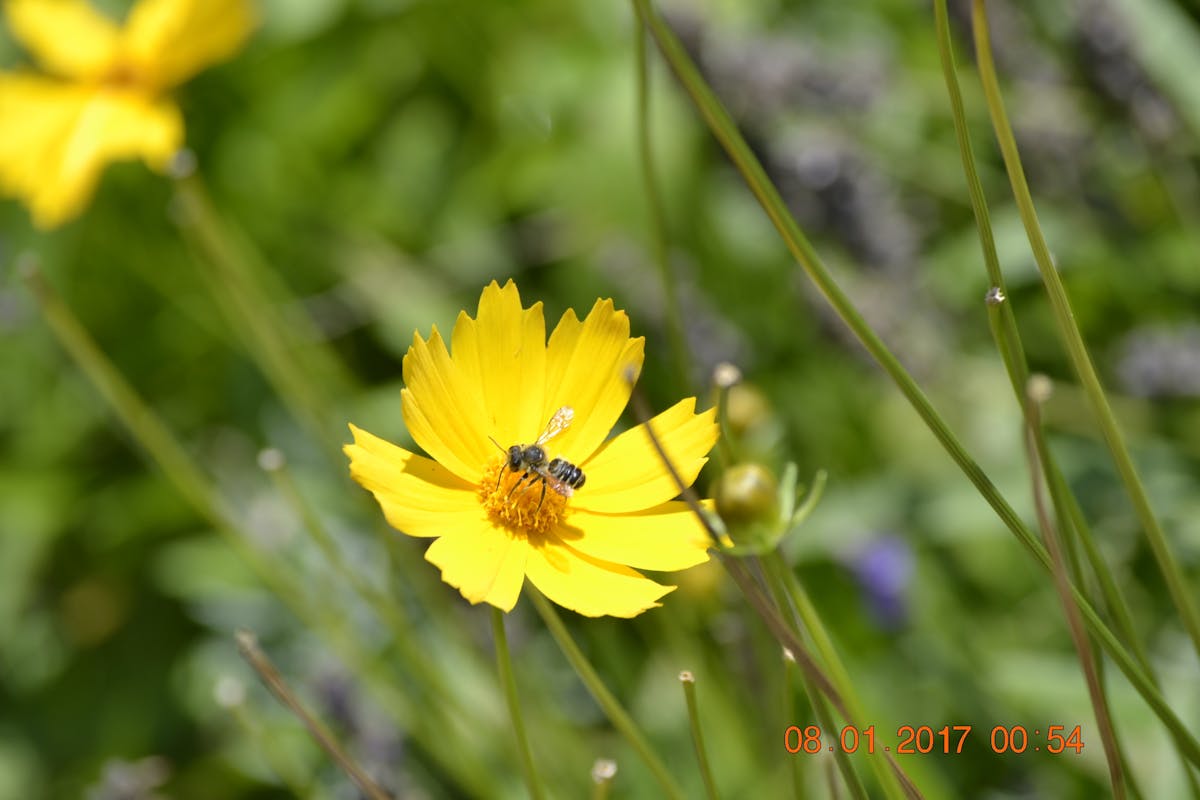 ¿Rendición Incondicional? ¿Esto Es un Juego de Poder o el ...