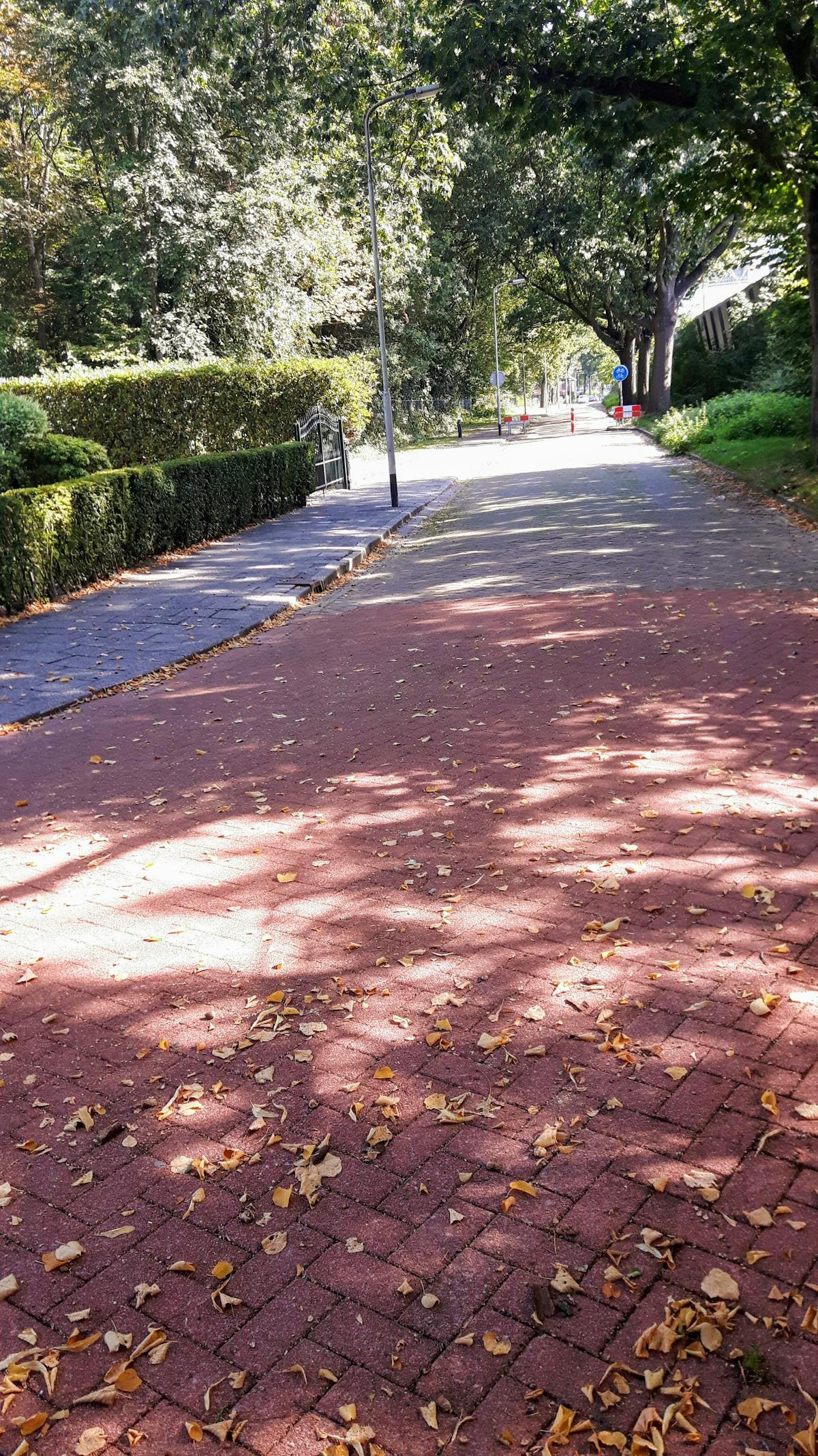 ¿Tu Autoestima Es Lo Siguiente que Se Va a la Nube?