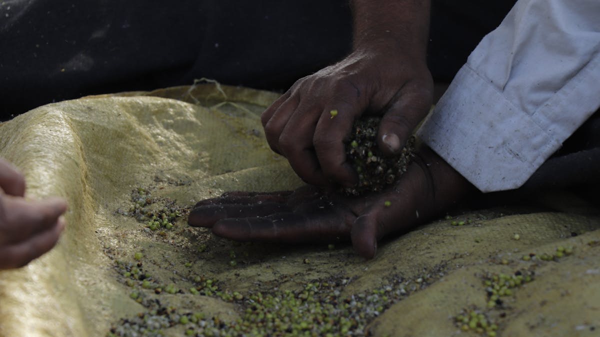 🚨 ¿Capturado en Bosa? ¿Es esto la nueva forma de encuentro con...