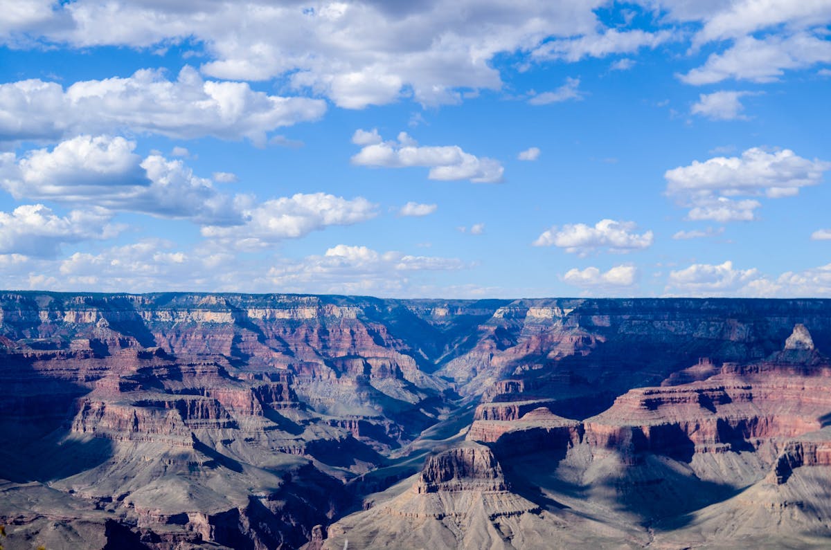 🚗 ¿Eres un novato en el volante? Puedes aprender a conducir un...