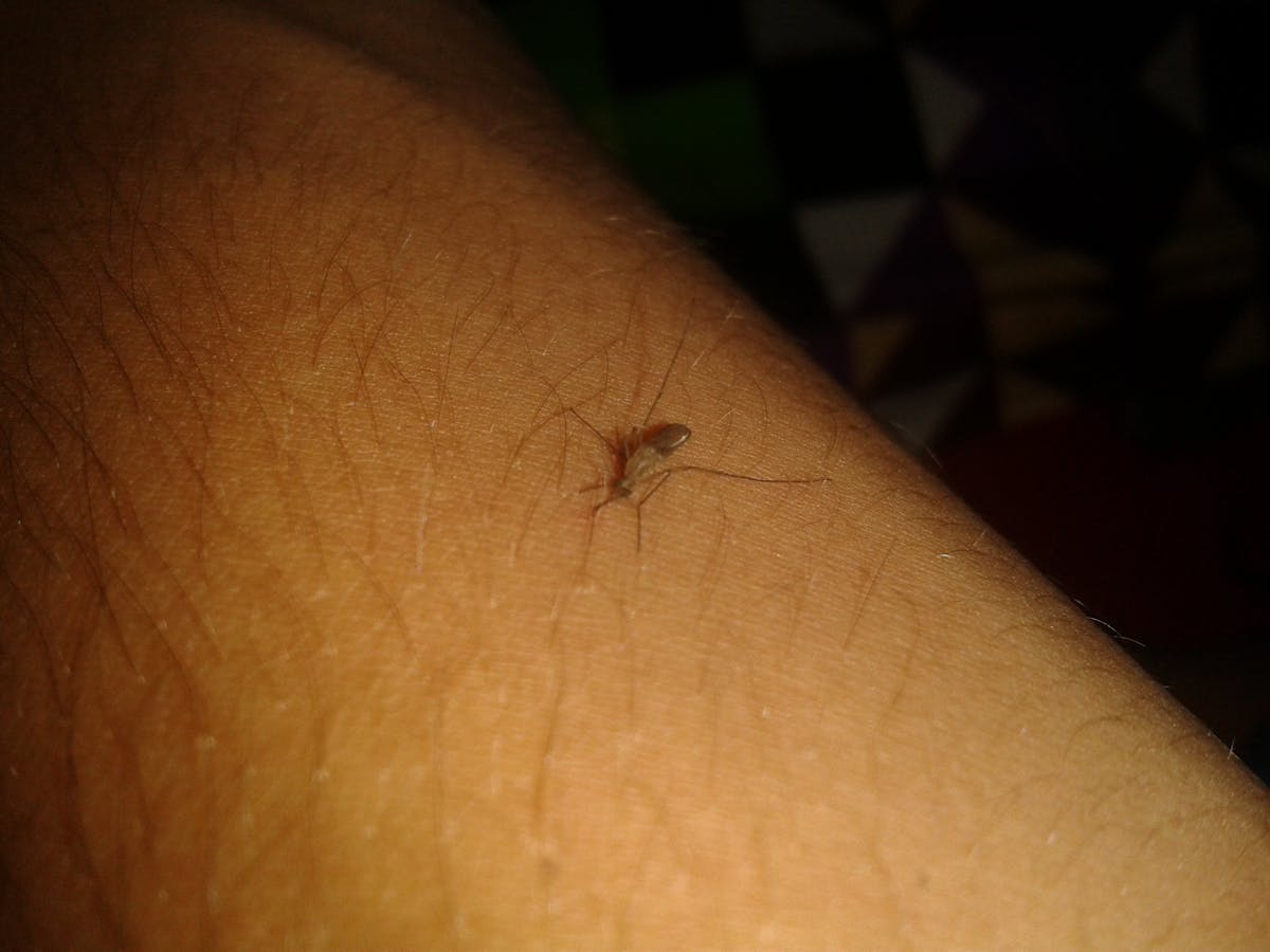 🤑 ¿El lujo de Epstein era solo para el peldaño más alto de la ...