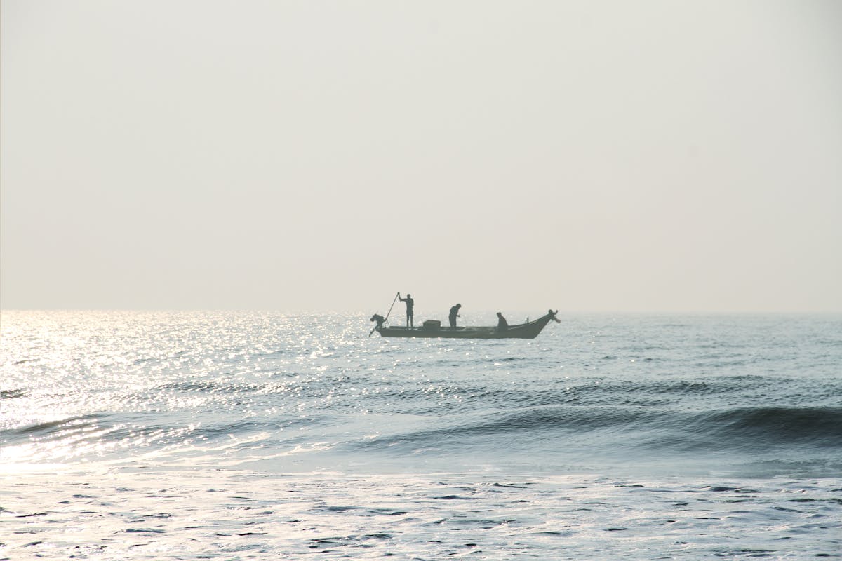 ¿Javier Milei Es el Siguiente Messi o Solo Fue un Clásico ...