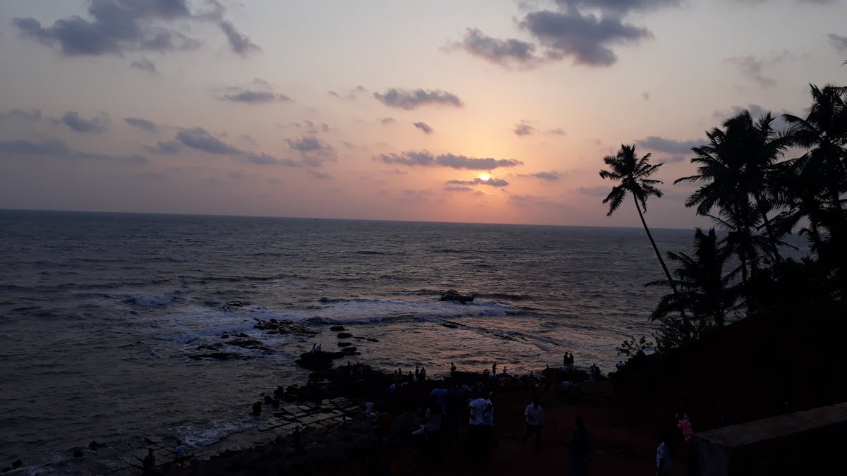 🚗 ¿Listo para sacar tu licencia de conducir en el Edomex? ¡No ...