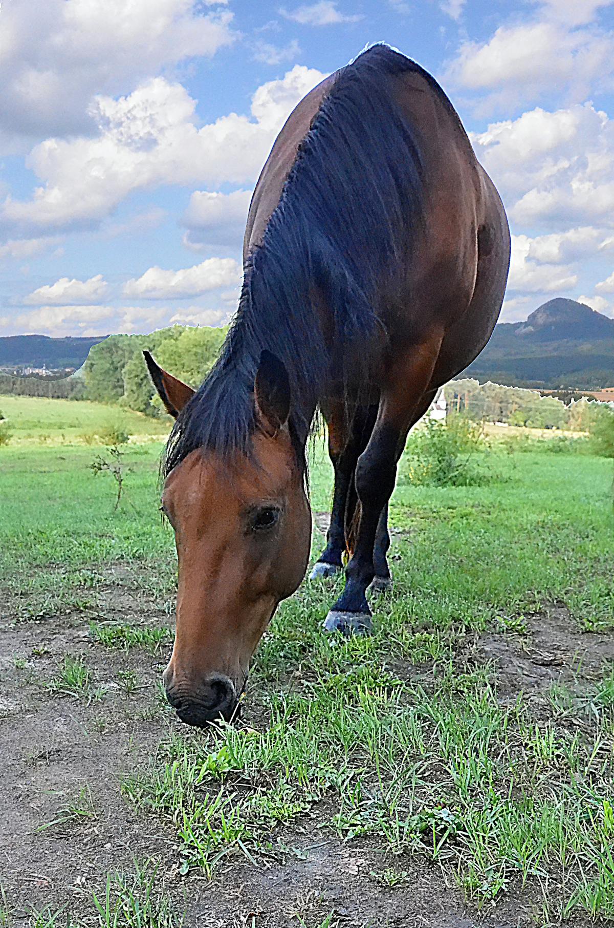 ¿Celulares prohibidos en escuelas de BA? ¡Qué onda con la ...