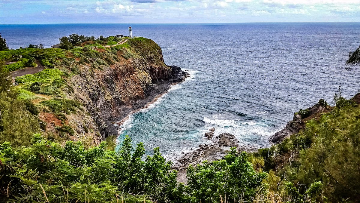 🤔 ¿Bilbao.eus, ¿Qué No Te Dijeron?