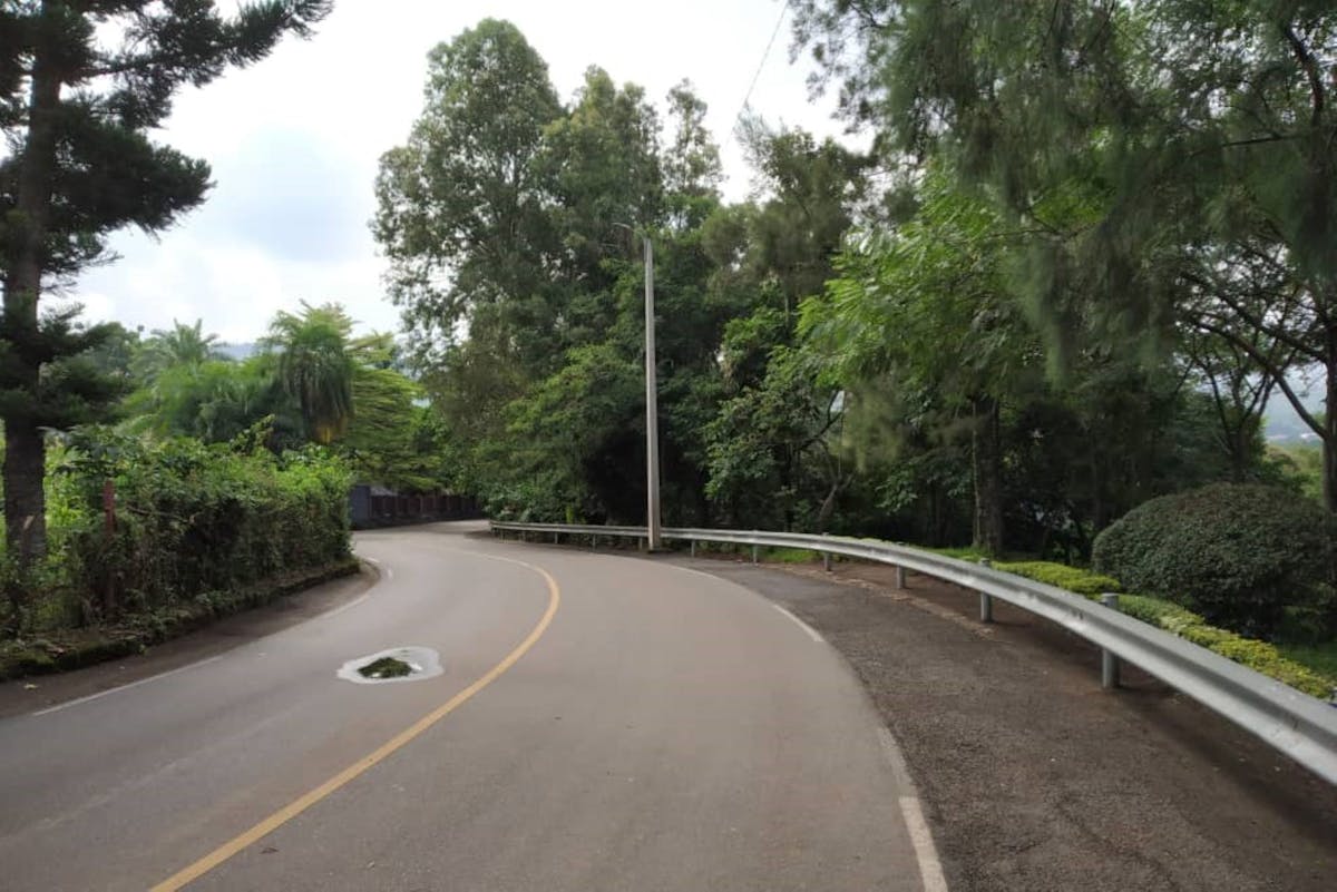 ¿Sabes qué cuesta más que el Cedro? 🌲