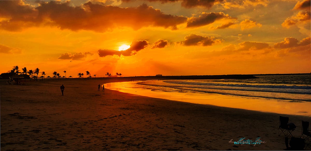 ¿La Seguridad en México es Solo Un Juego de Roles? 🚨