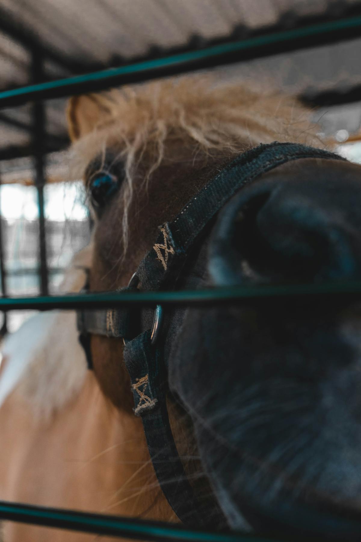 🤯 ¡Caída de Shakira en concierto: ¿Era una coreografía loca o ...