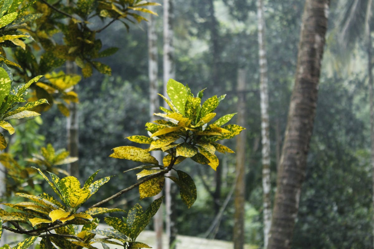🚩 ¿Tu cámera de seguridad en casa es solo una excusa para ...