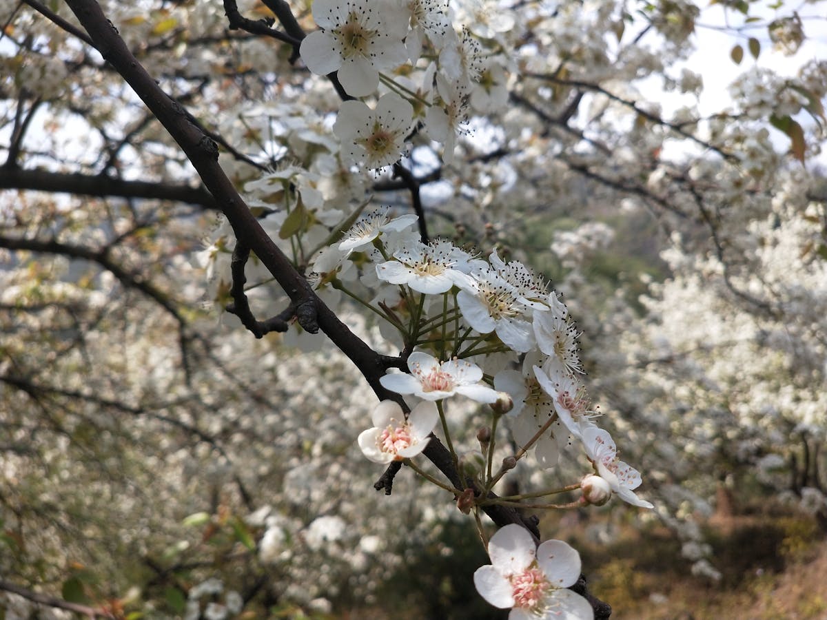 ¿Tu Mamá También Escribe Cartas de Confort? 📝