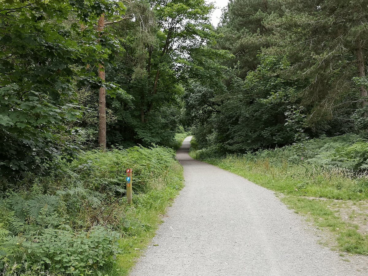 ¿Elena Furiase tiene secreto o solo es un poco rica para ...