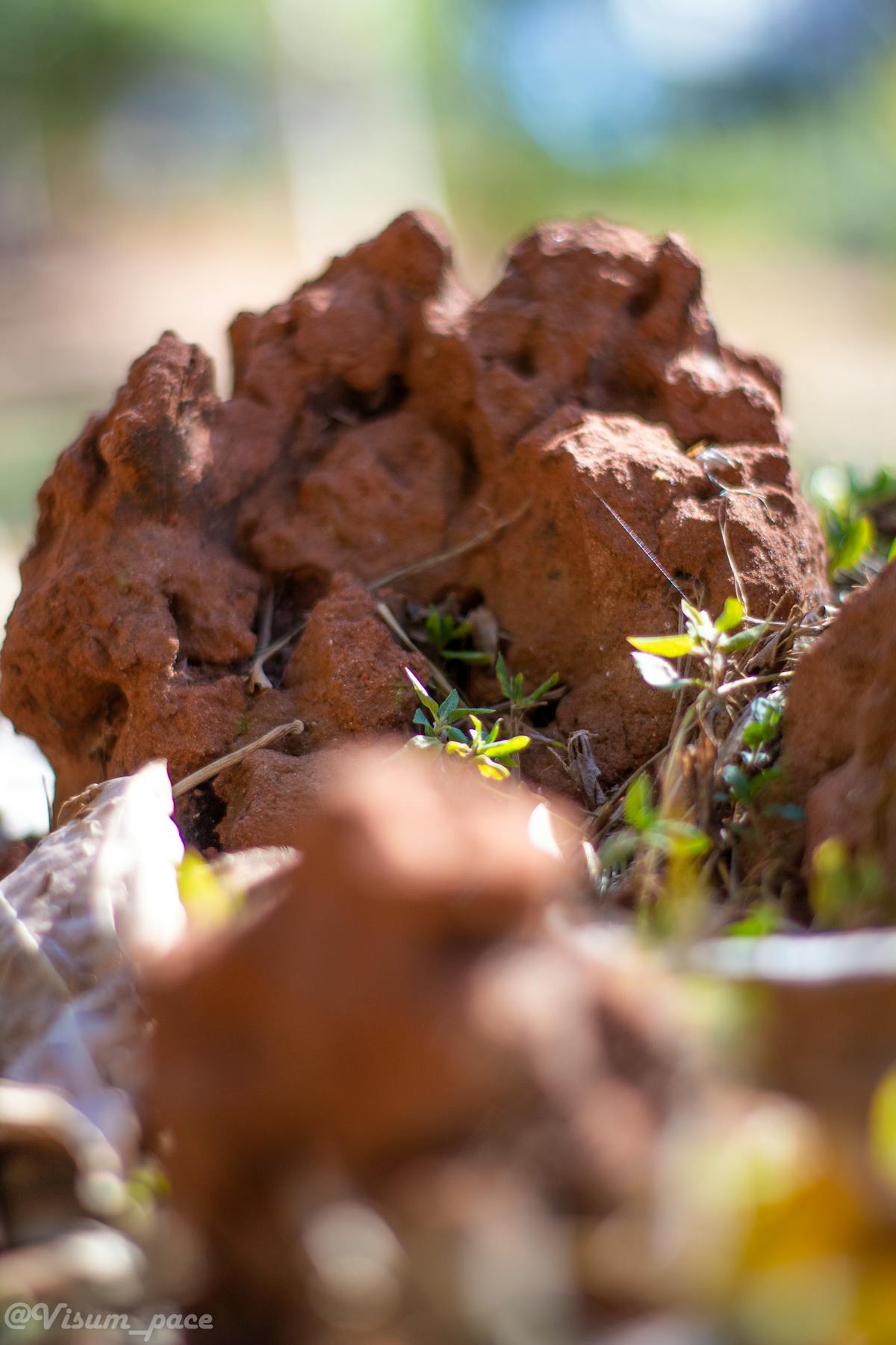 ¿Irán vs. Trump: ¿Cuántos Millennials Morirán por la Hiper...