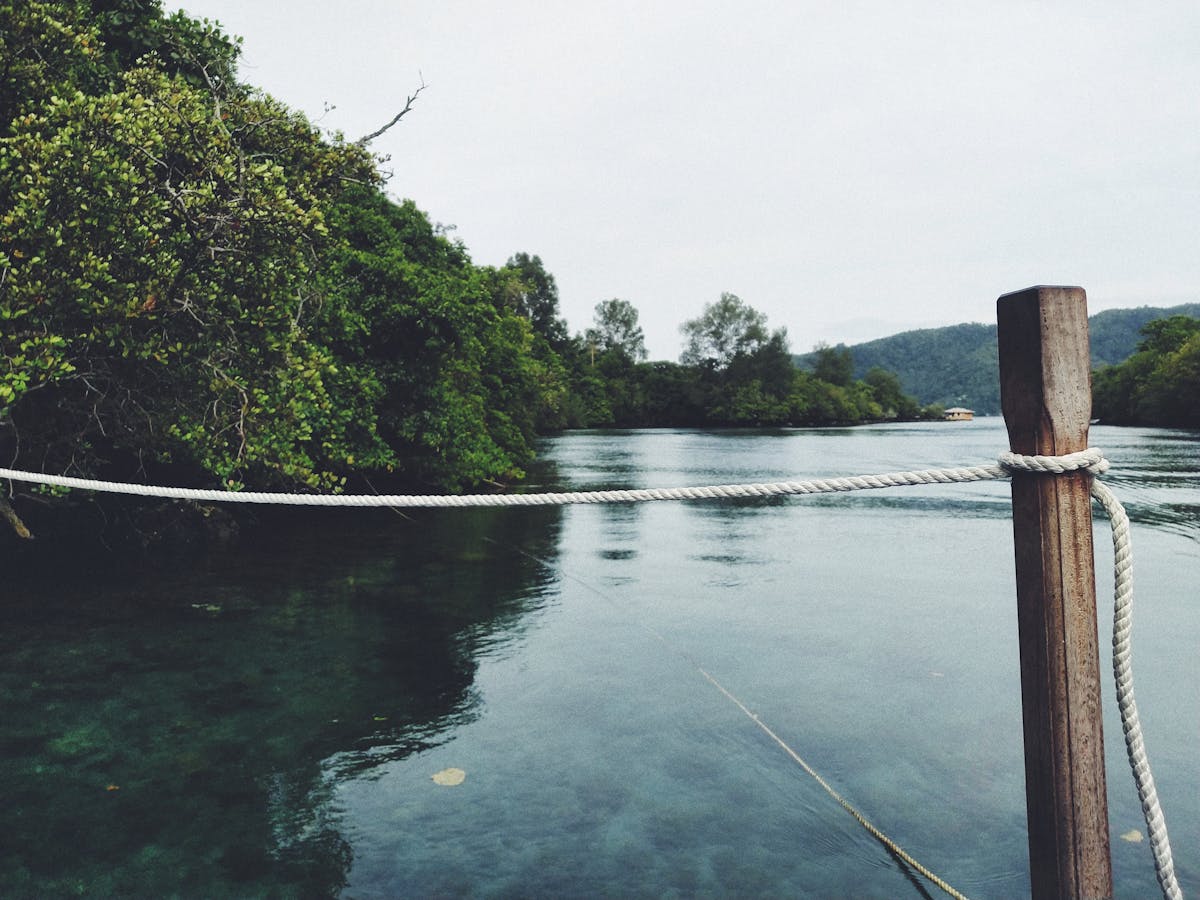 🚨 ¿Bogotá Queda Sin Tráfico o Solo se Pone Malo?