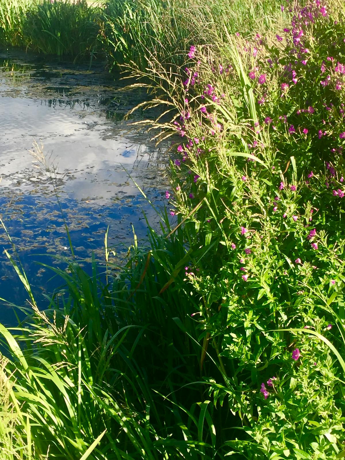🚨 ¿Sheinbaum Invierte en Educación o en su Imagen?