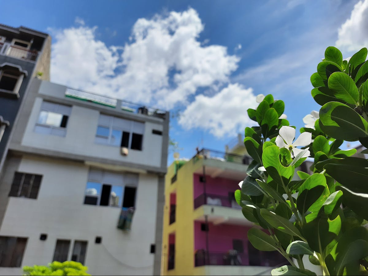 ¿La Familia Michoacana se está infiltrando en la Nube de G...