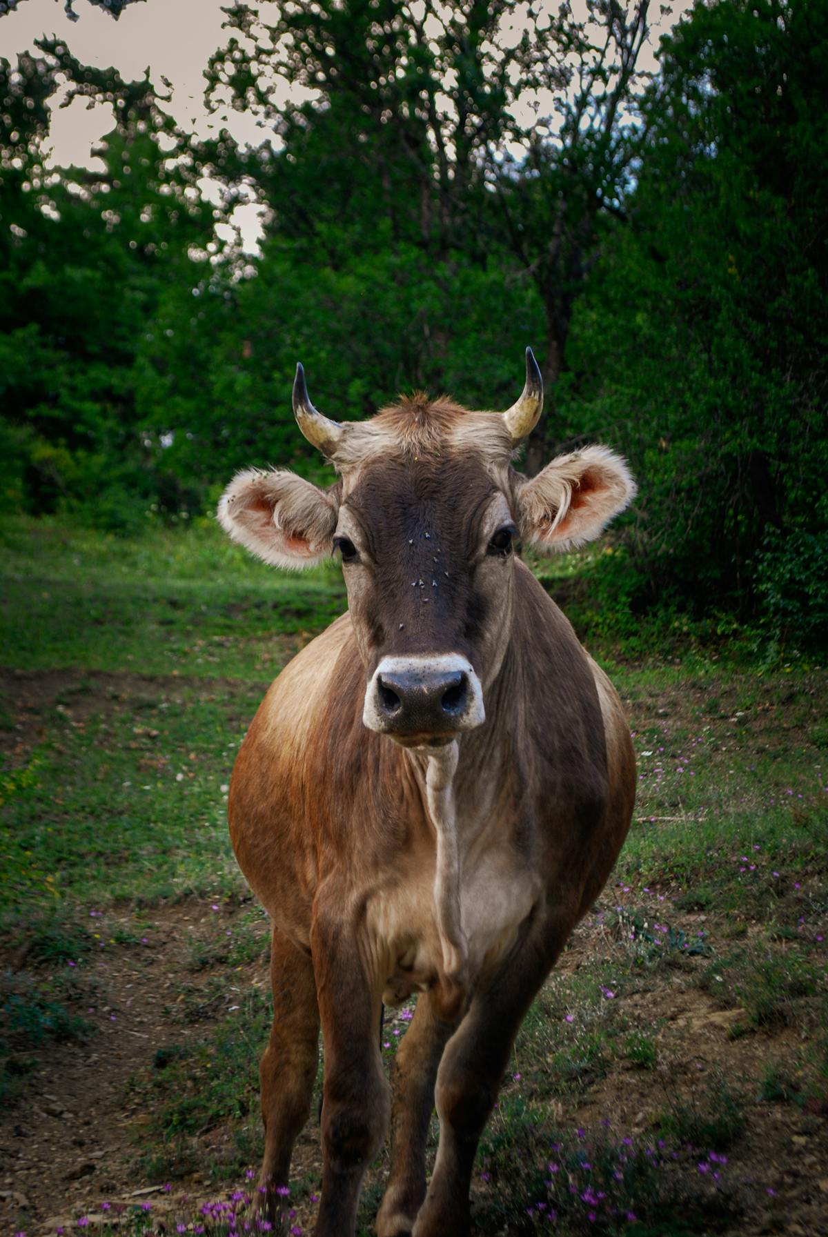 🎵 ¿Vas a Perder la Cabeza con el Concierto de Ayer? Este Viernes!