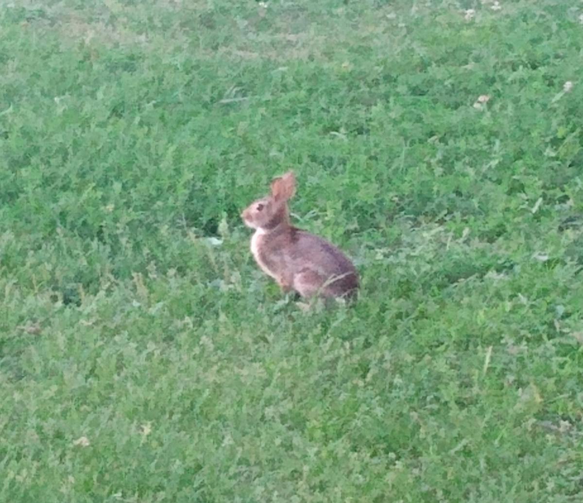 🤔 ¿Las amistades famosas comparten secretos o sólo estilos?