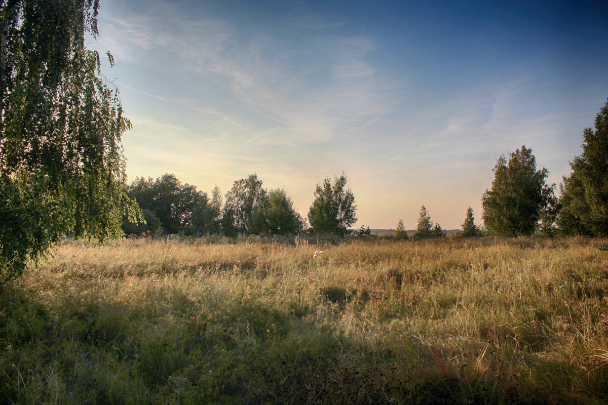 🔬 ¿Gould o el Falso Profe de la Evolución?