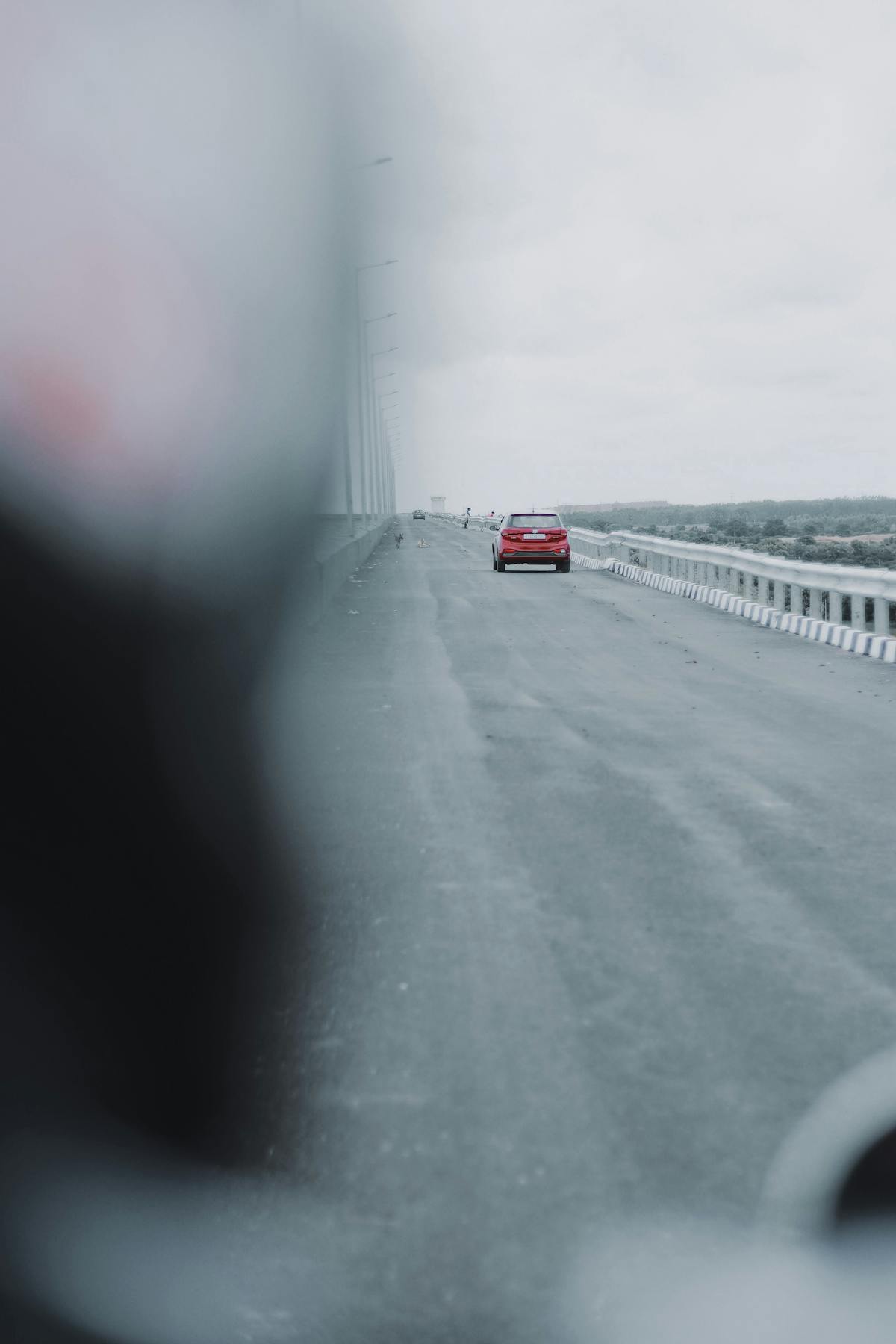 ¿Aranceles Suben, ¿Dinero Desaparece? 🚨