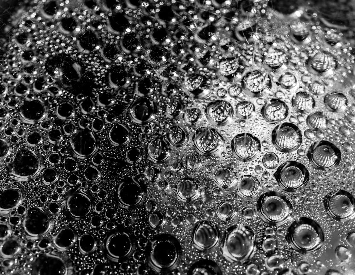 ¿Bad Bunny gana Grammys y reggaetón pierde la batalla legal? 🚫