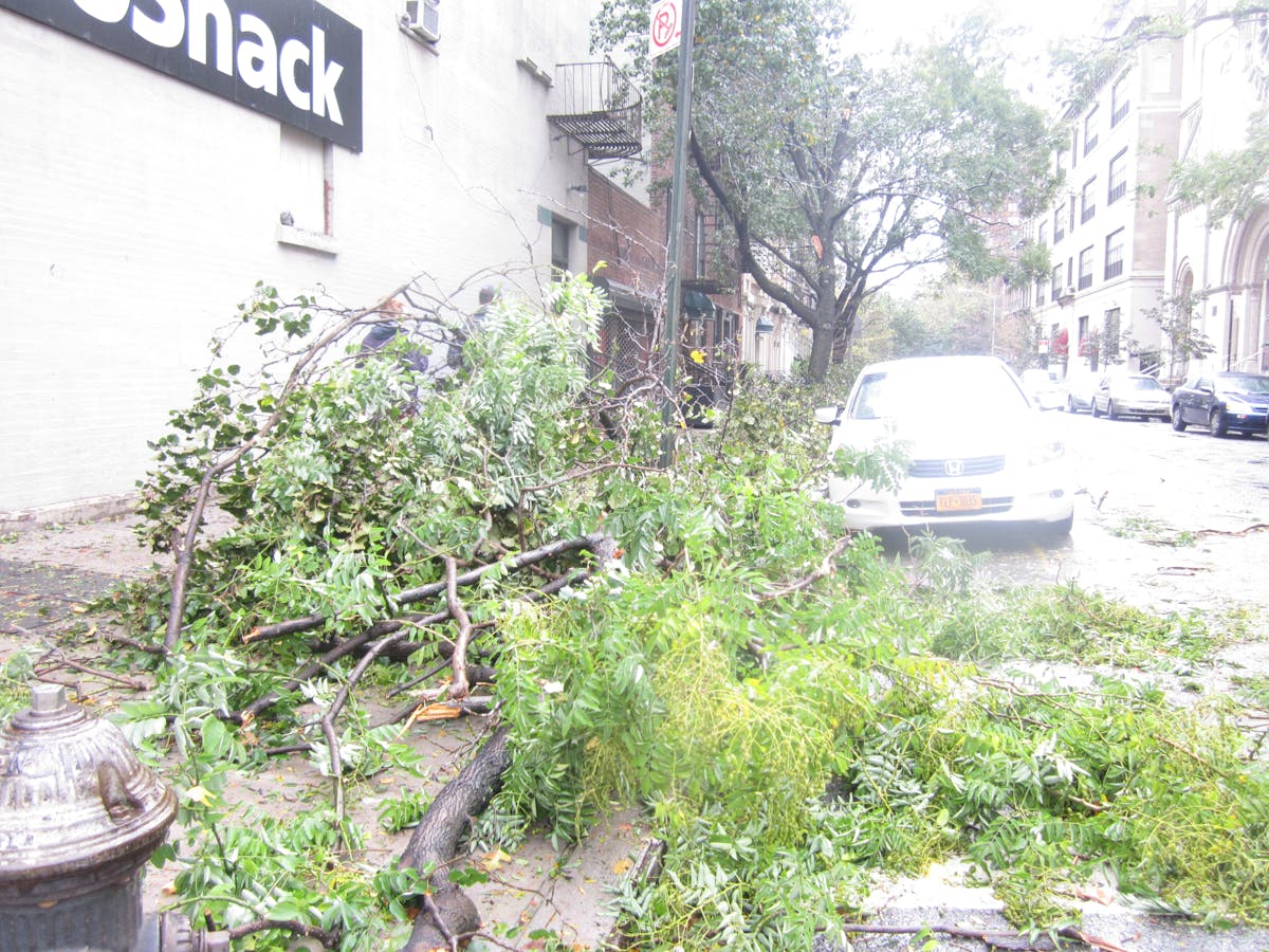 ¿Messi y el Inter Miami Fueron a la Casa Blanca o a un Bar...